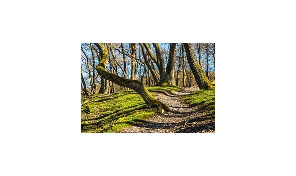 Big image albion hills pic 2