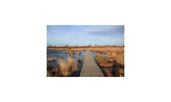 Big image albion hills pic 1