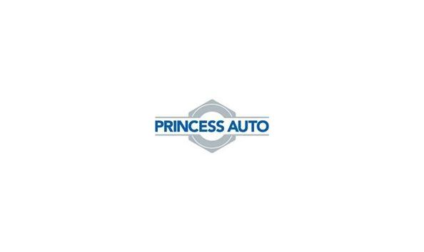 Big image princess auto logo