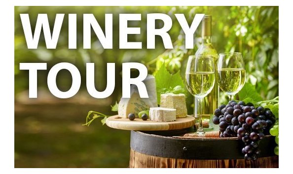 Big image winery tour