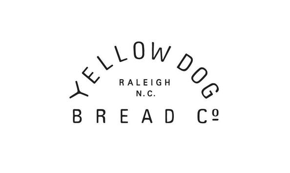 Big image yellow dog 2