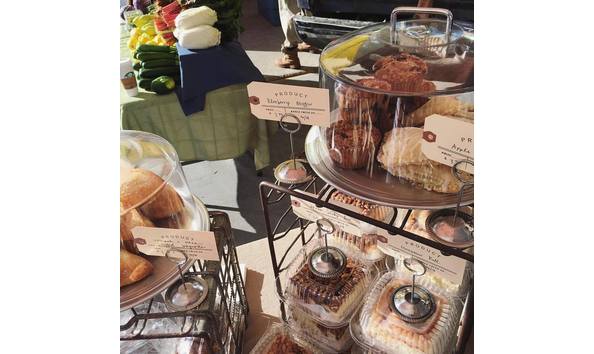 Big image yellow dog 4