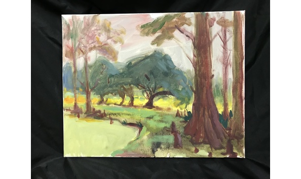 Big image swamp trees brooks