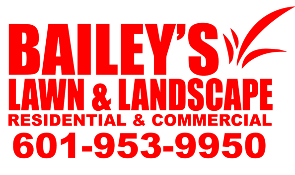 Big image mini magick20190430 40723 rum49w