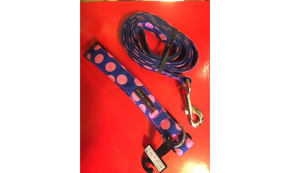 Big image dog collar poka dots