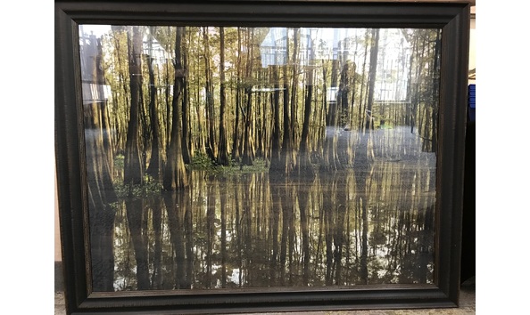 Big image 0312a481 4fef 4114 adf5 589709c227bc