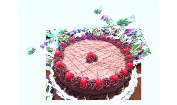 Big image mini magick20190504 75133 zq9lem