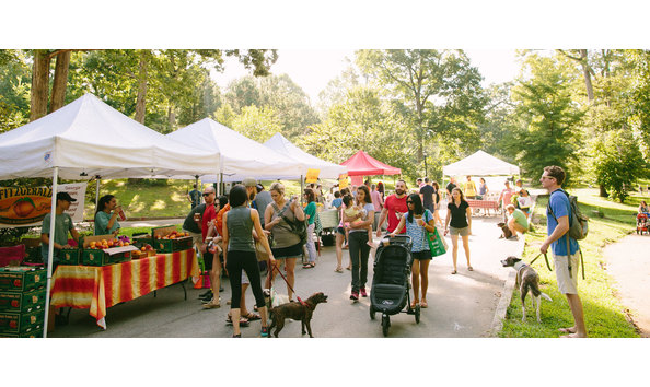 Big image mini magick20190507 8518 1jb667t