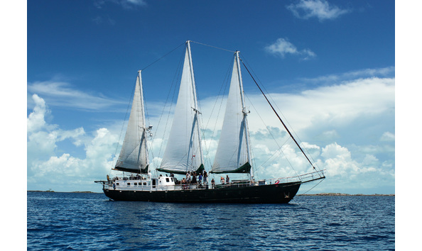 Big image undersail 2