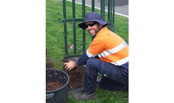 Big image michaelthompsonarborist