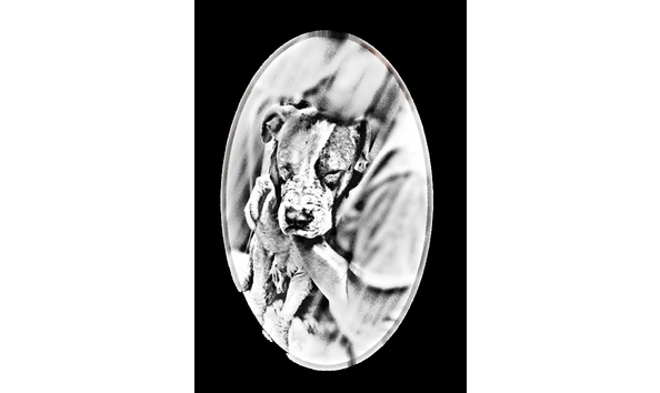 Organization Main Image