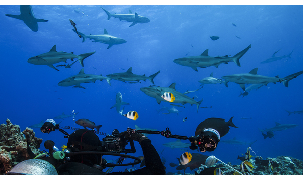 Big image 60407c js northhorn 10 2