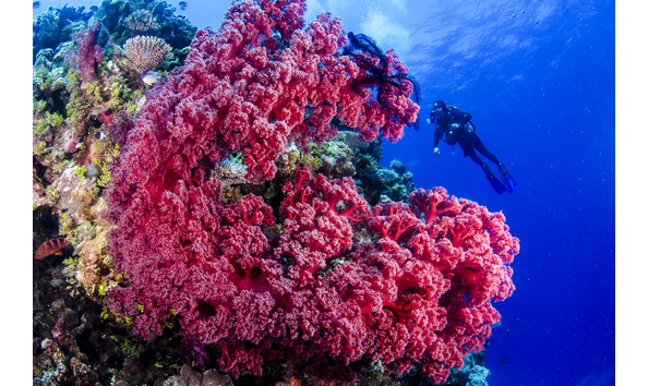 Big image 507240 hw nonki 8003