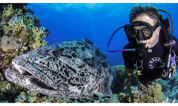 Big image mike ball cod diver