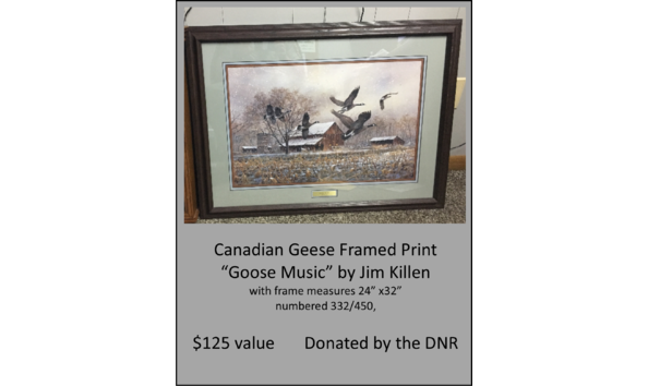 Big image geese framed print