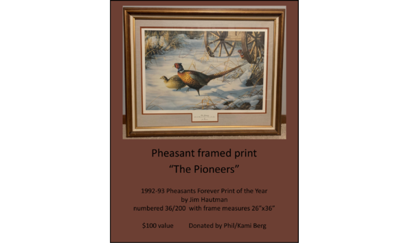 Big image pheasant framed print