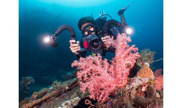 Big image alex lindbloom sealife dragon p1433746