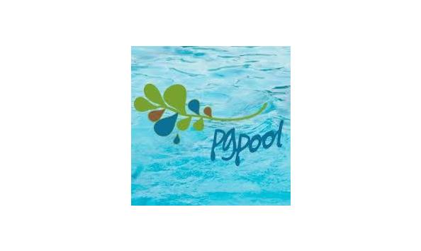 Big image 402.pg pool