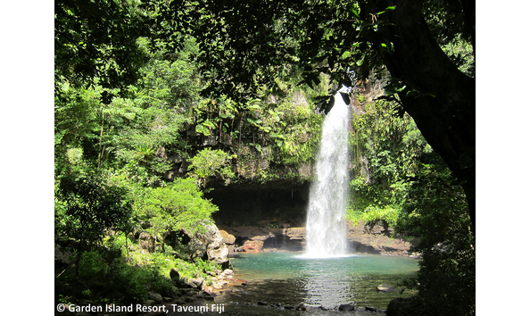 Big image gir   taveuni   bouma