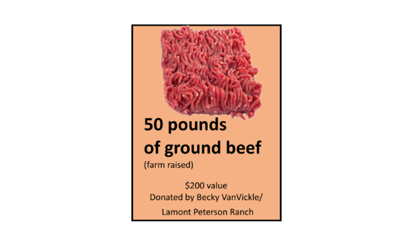 Big image ground beef