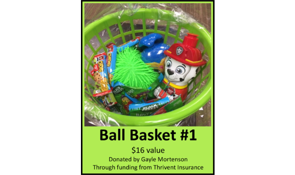 Big image ball basket 1