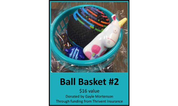 Big image ball basket 2