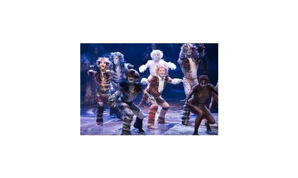 Big image catsmusical pic