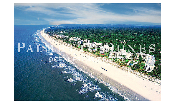 Big image palmettodunesbeachaerial lores