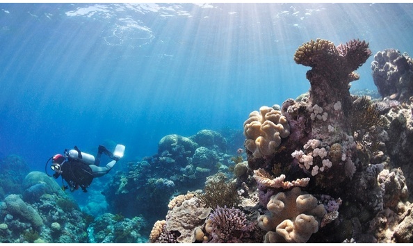 Big image matthew shepherd image 6