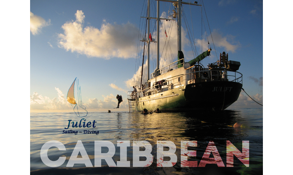 Big image drift dive logo