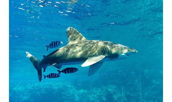 Big image 47190802 1948901455188068 576230683790278656 o