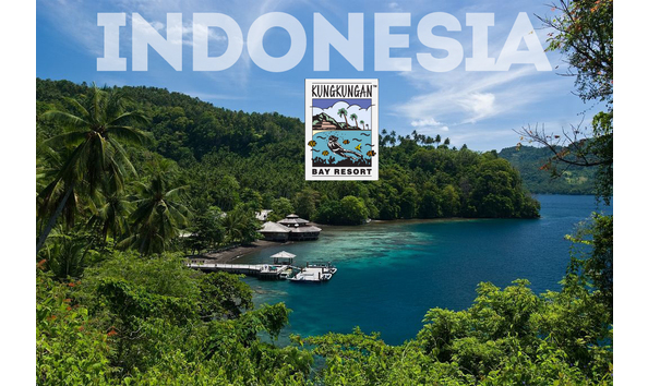 Big image signature shot logo