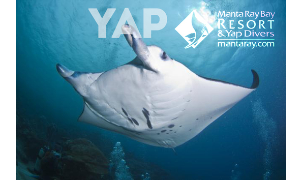 Big image manata ray logo