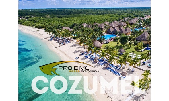 Big image aerial prodive logo