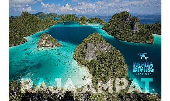 Big image islandswlogos