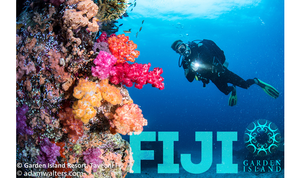 Big image gir   diving the ledge logo