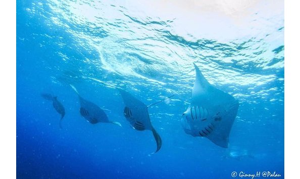 Big image german channel is the