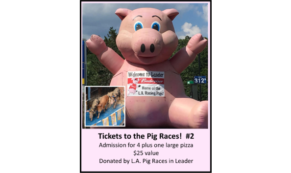 Big image pig races 2