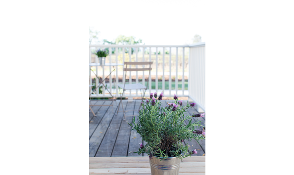 Big image pic sample terrace