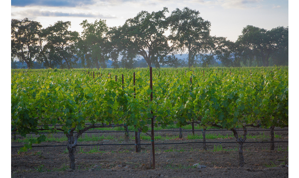 Big image pic scenery