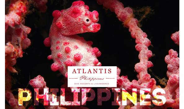 Big image dmgt pgmy logos