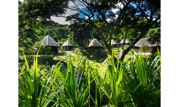 Big image p3240437 2