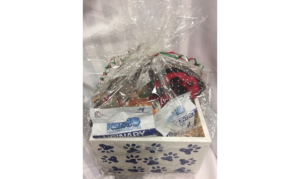 Big image petrific gift basket