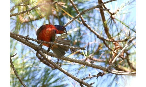 Big image big image jv8a4560