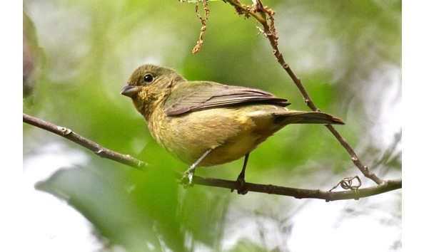 Big image big image img 8608