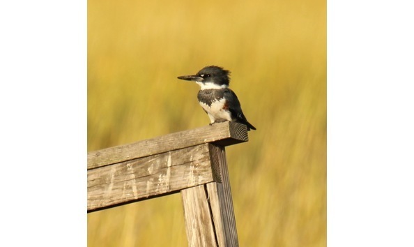 Big image big image img 7646