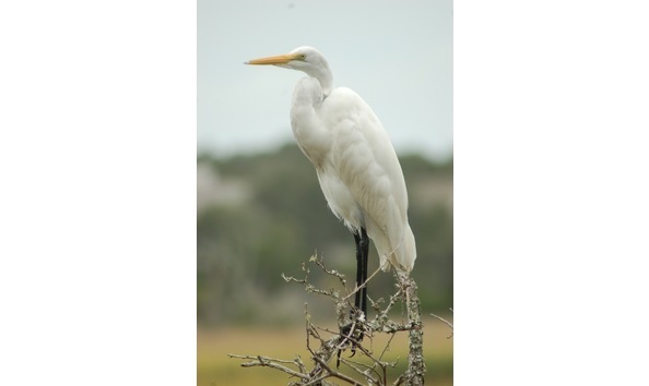 Big image big image dsc 0774