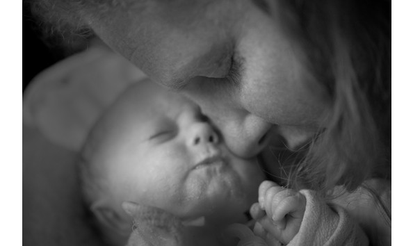 Organization Main Image