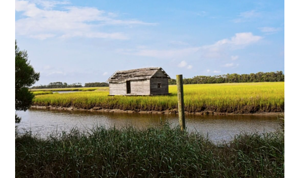 Big image screen shot 2019 06 17 at 1.34.19 pm