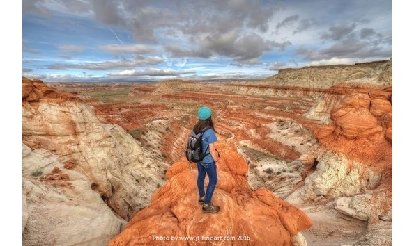 Organization Main Image